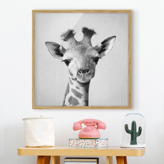 decoração quarto bebé Baby Giraffe Gandalf Black And White