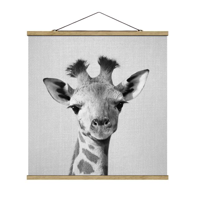Posters animais Baby Giraffe Gandalf Black And White