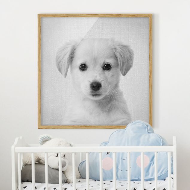 decoração para quartos infantis Baby Golden Retriever Gizmo Black And White