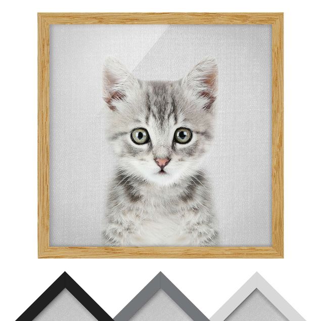 Quadros preto e branco Baby Cat Killi