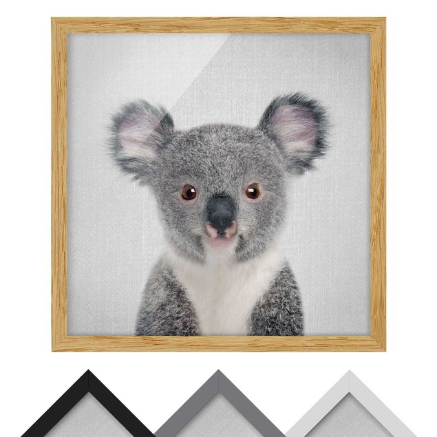 Quadros decorativos Baby Koala Klara