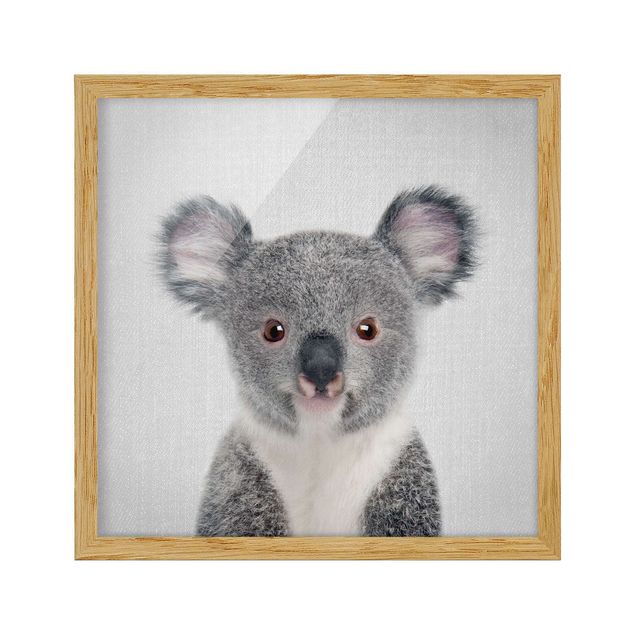 Quadros modernos Baby Koala Klara