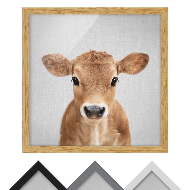 quadros para parede Baby Cow Kira