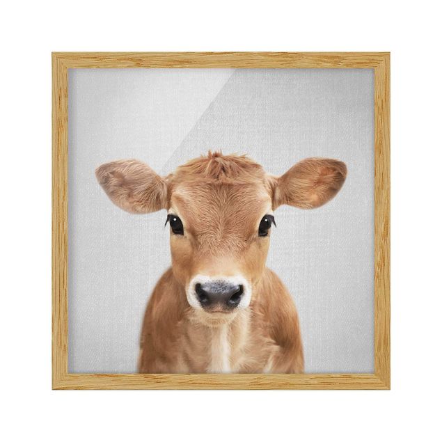 quadros decorativos para sala modernos Baby Cow Kira