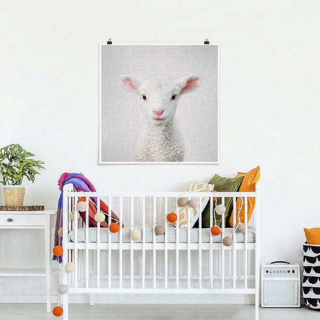 Posters animais Baby Lamb Lina