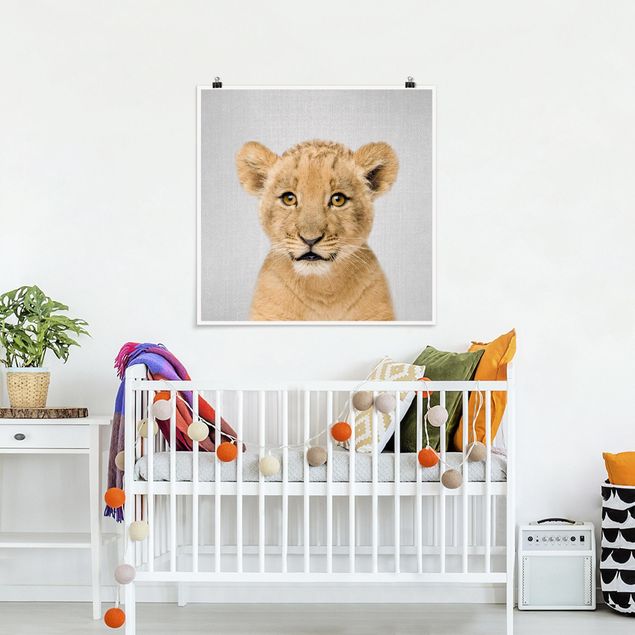 Quadros leões Baby Lion Luca