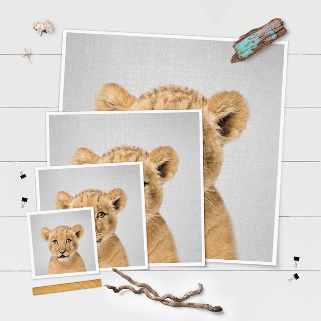 Posters Baby Lion Luca