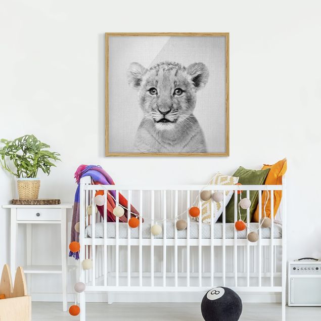 Quadros com moldura em preto e branco Baby Lion Luca Black And White