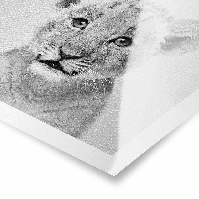 quadros em preto e branco Baby Lion Luca Black And White