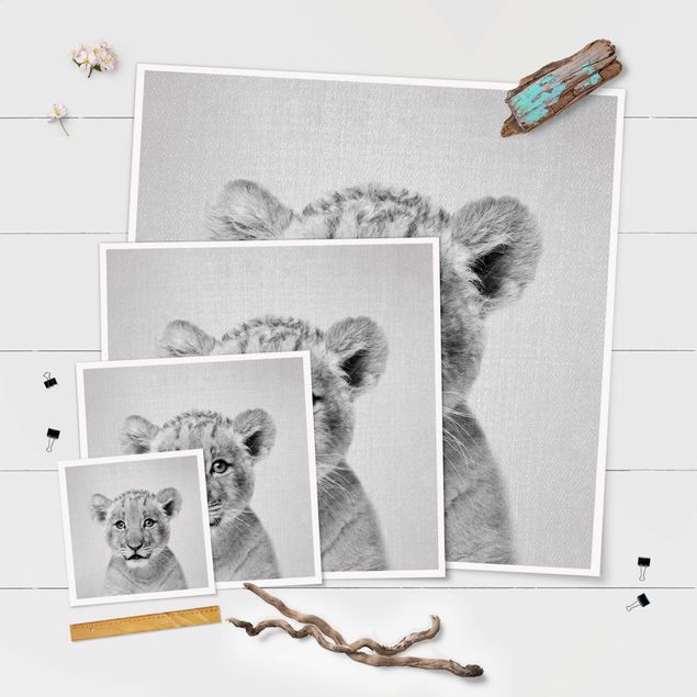 posters decorativos Baby Lion Luca Black And White