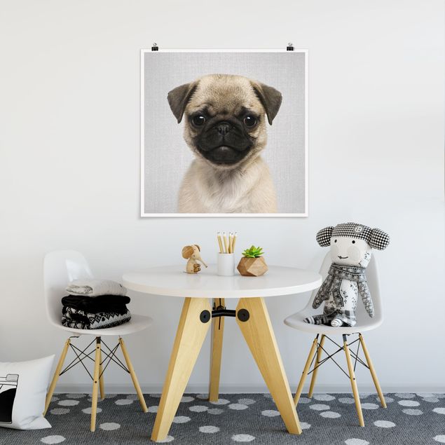 Posters em preto e branco Baby Pug Moritz