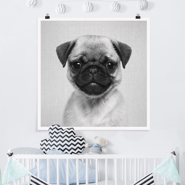 decoração para quartos infantis Baby Pug Moritz Black And White