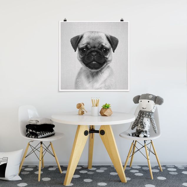 poster preto e branco Baby Pug Moritz Black And White