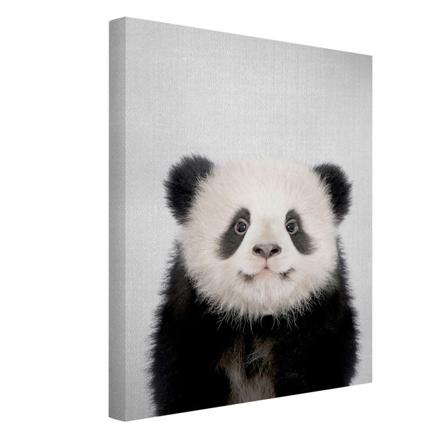 Telas decorativas animais Baby Panda Prian