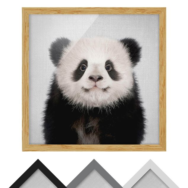 Quadros preto e branco Baby Panda Prian