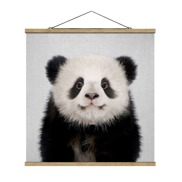 Posters animais Baby Panda Prian