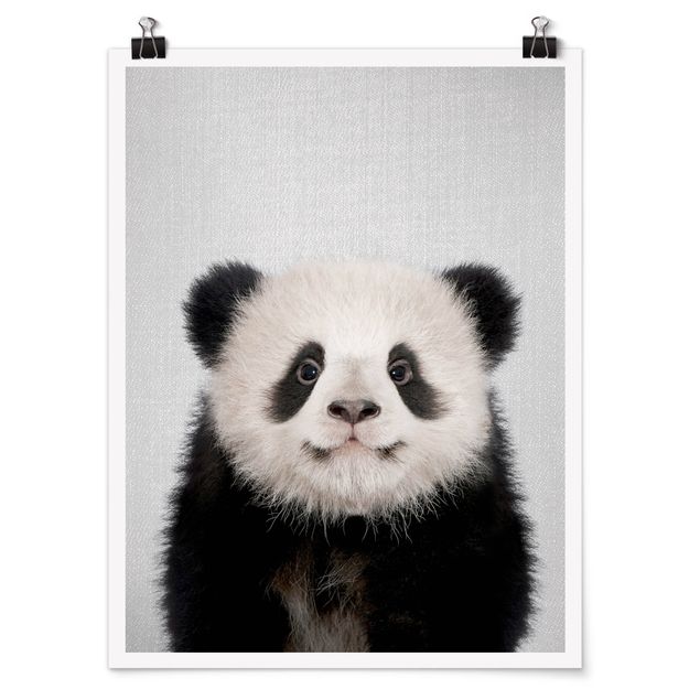 Posters animais Baby Panda Prian