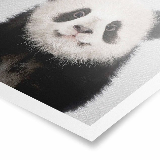 quadros modernos para quarto de casal Baby Panda Prian