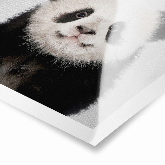 quadros preto e branco para decoração Baby Panda Prian