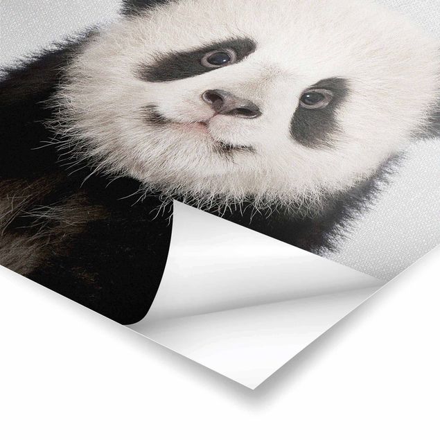 decoração quadros Baby Panda Prian