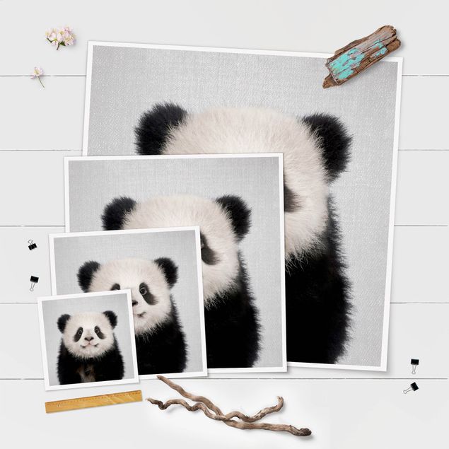 poster decoração Baby Panda Prian
