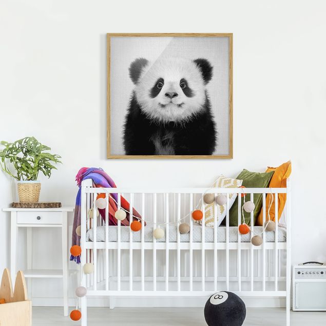 Quadros com moldura em preto e branco Baby Panda Prian Black And White