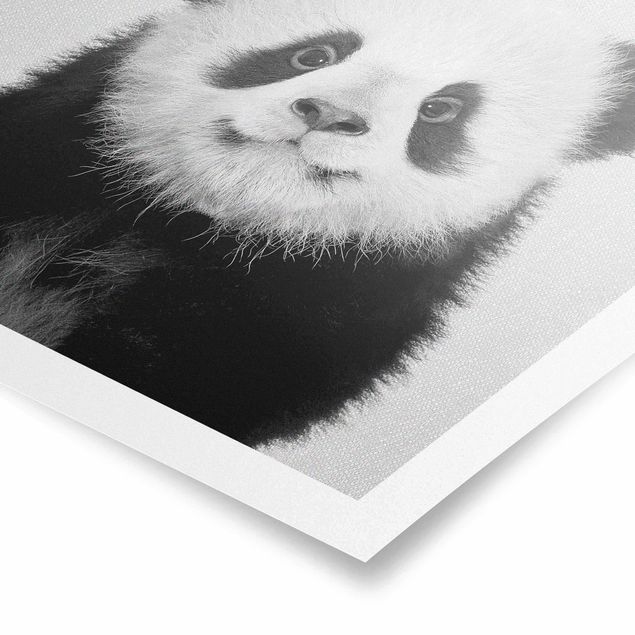 quadros modernos para quarto de casal Baby Panda Prian Black And White