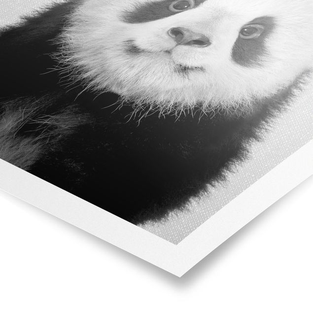 quadros modernos para quarto de casal Baby Panda Prian Black And White