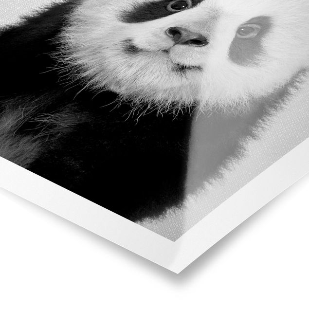quadros preto e branco para decoração Baby Panda Prian Black And White