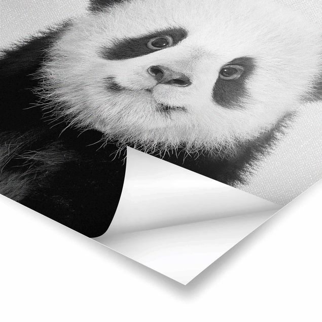 decoração quadros Baby Panda Prian Black And White