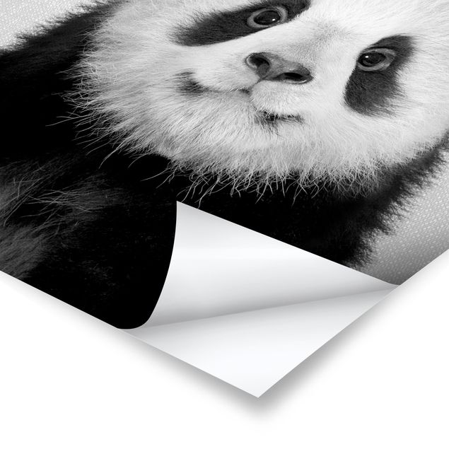 decoração quadros Baby Panda Prian Black And White