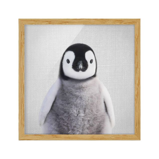 quadros decorativos para sala modernos Baby Penguin Pepe