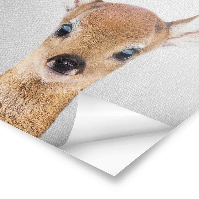 Posters Baby Roe Deer Romy