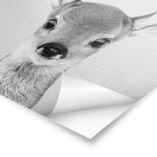 Posters Baby Roe Deer Romy Black And White