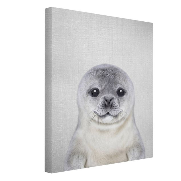 Telas decorativas animais Baby Seal Ronny