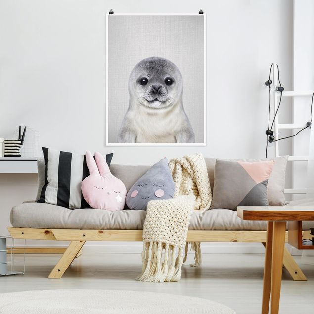 Posters animais Baby Seal Ronny