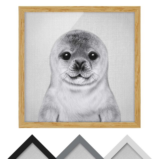 quadros para parede Baby Seal Ronny Black And White