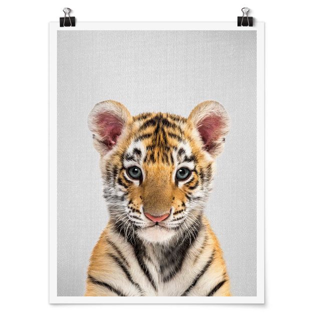 Posters animais Baby Tiger Thor