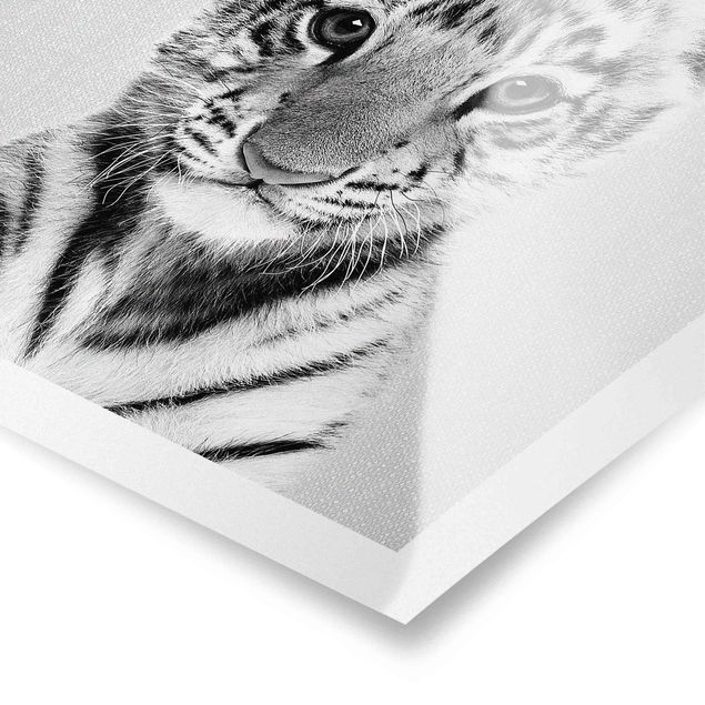quadros preto e branco para decoração Baby Tiger Thor Black And White
