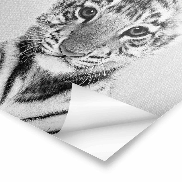 decoração quadros Baby Tiger Thor Black And White