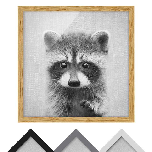 Quadros preto e branco Baby Raccoon Wicky Black And White