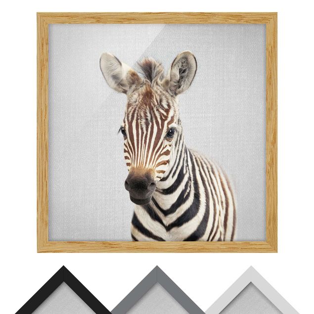 quadros preto e branco para decoração Baby Zebra Zoey