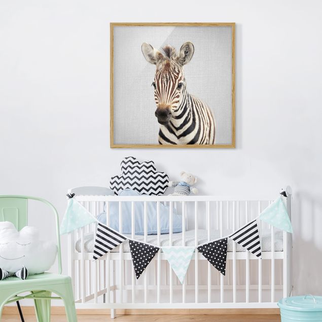 Quadros zebras Baby Zebra Zoey