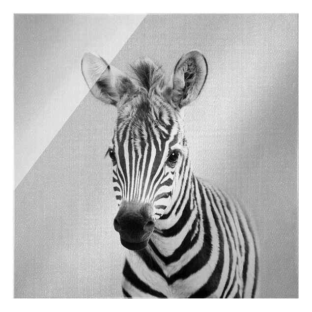Quadros modernos Baby Zebra Zoey Black And White