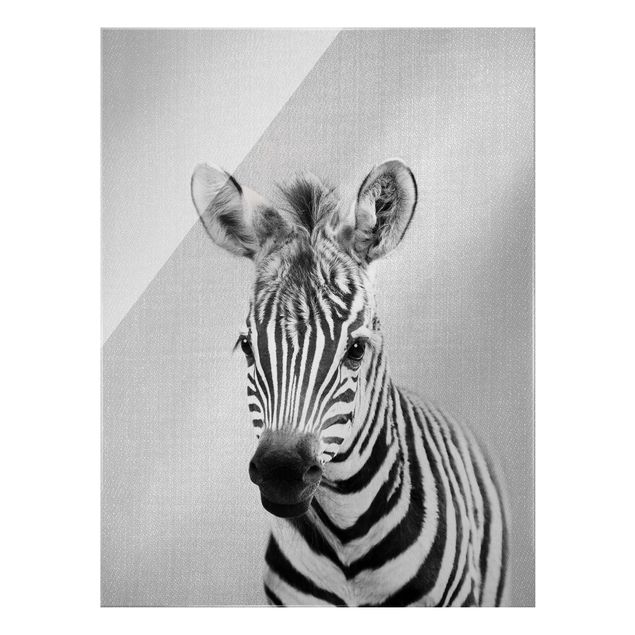 Quadros modernos Baby Zebra Zoey Black And White