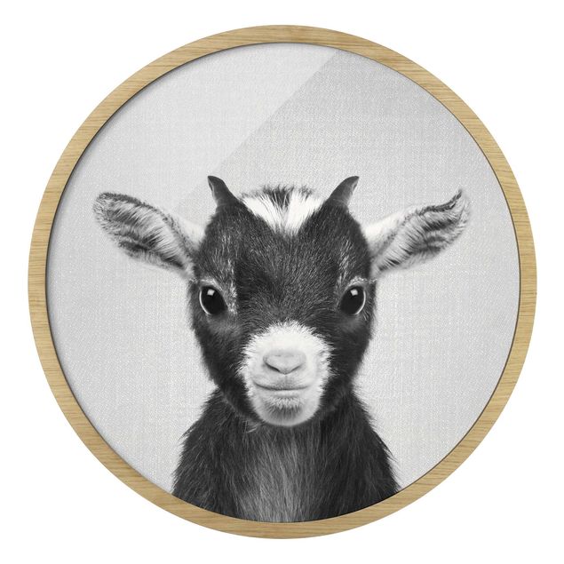 quadros preto e branco para decoração Baby Goat Zelda Black And White
