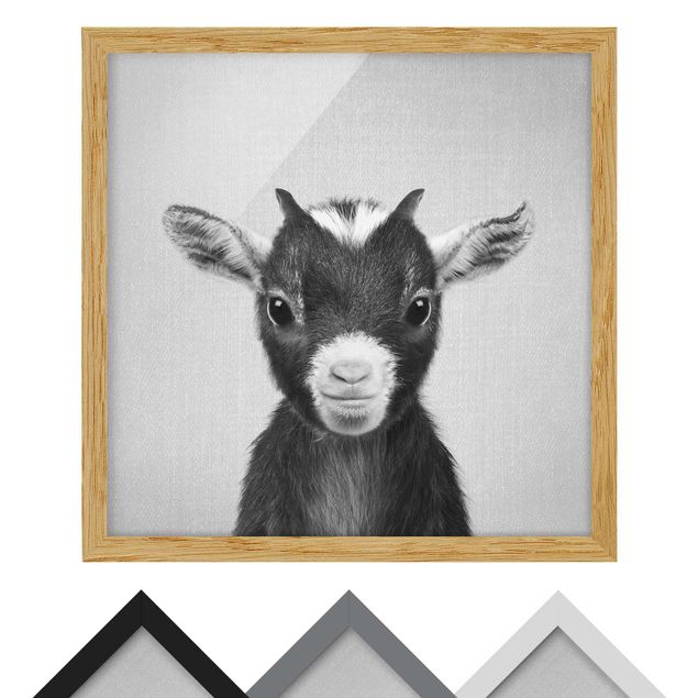 decoração quadros Baby Goat Zelda Black And White