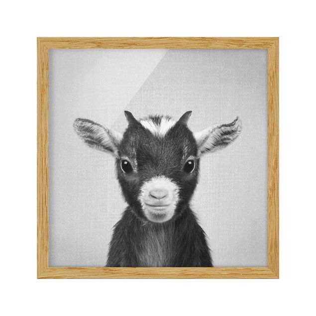 quadros modernos para quarto de casal Baby Goat Zelda Black And White