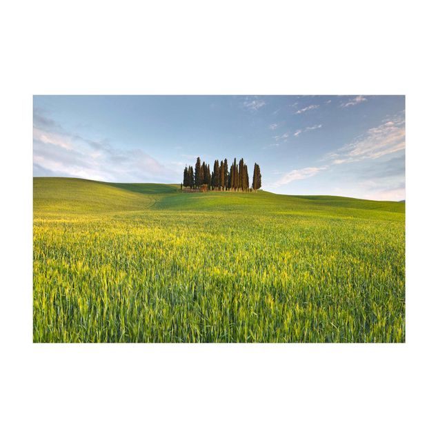 Tapete natural Green Field In Tuscany