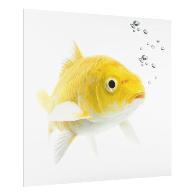 Painel anti-salpicos de cozinha Goldfish Yellow